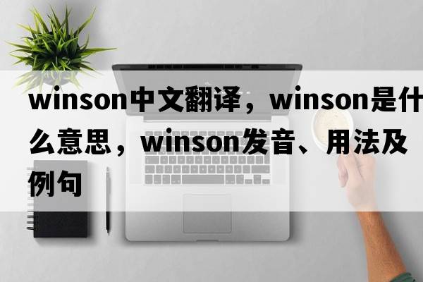 Winson中文翻譯，Winson是什么意思，Winson發(fā)音、用法及例句