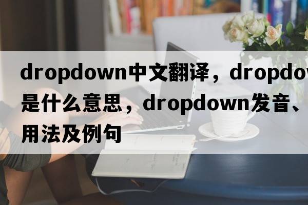 dropdown中文翻譯，dropdown是什么意思，dropdown發(fā)音、用法及例句