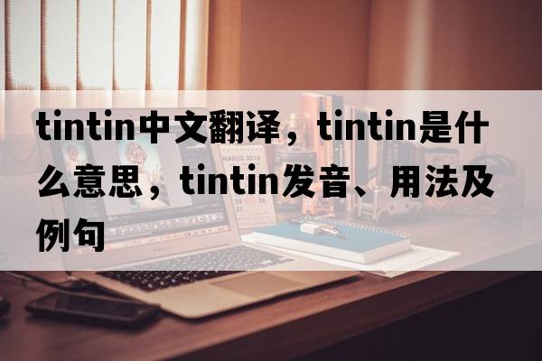 Tintin中文翻譯，Tintin是什么意思，Tintin發(fā)音、用法及例句