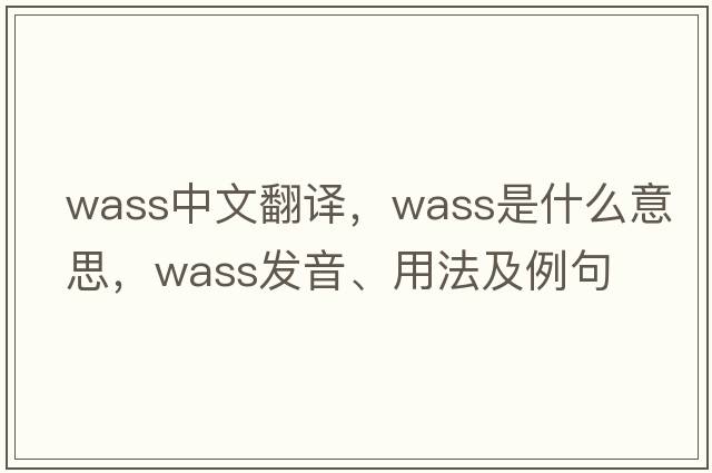 WASS中文翻譯，WASS是什么意思，WASS發(fā)音、用法及例句