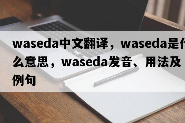 Waseda中文翻譯，Waseda是什么意思，Waseda發(fā)音、用法及例句