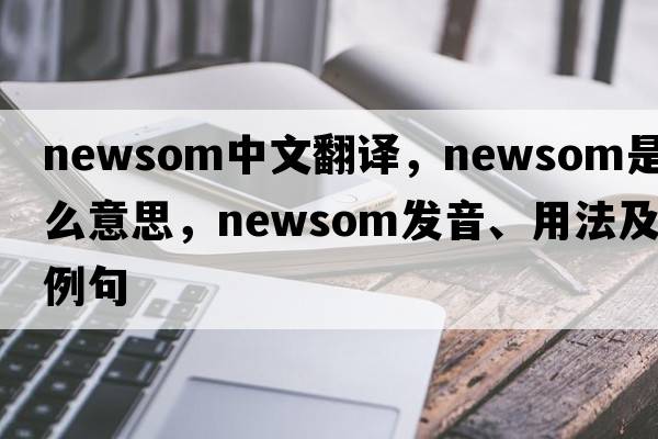 Newsom中文翻譯，Newsom是什么意思，Newsom發(fā)音、用法及例句