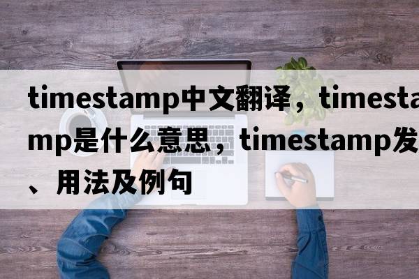 timestamp中文翻譯，timestamp是什么意思，timestamp發(fā)音、用法及例句