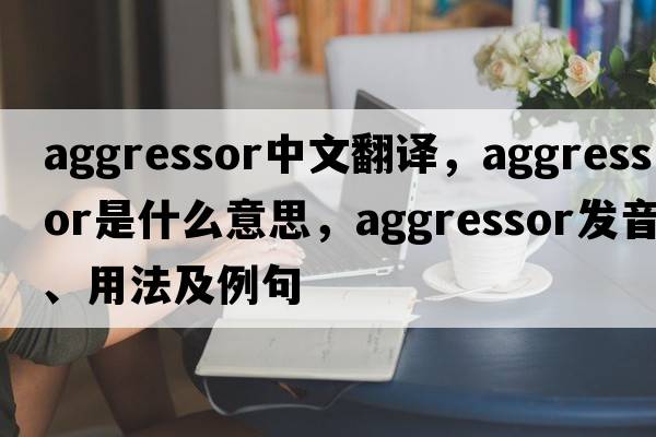 aggressor中文翻譯，aggressor是什么意思，aggressor發(fā)音、用法及例句