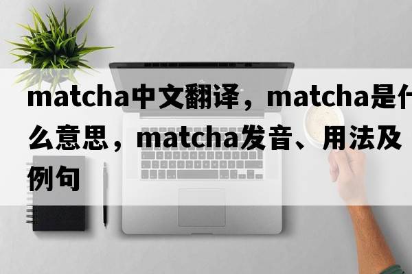 matcha中文翻譯，matcha是什么意思，matcha發(fā)音、用法及例句