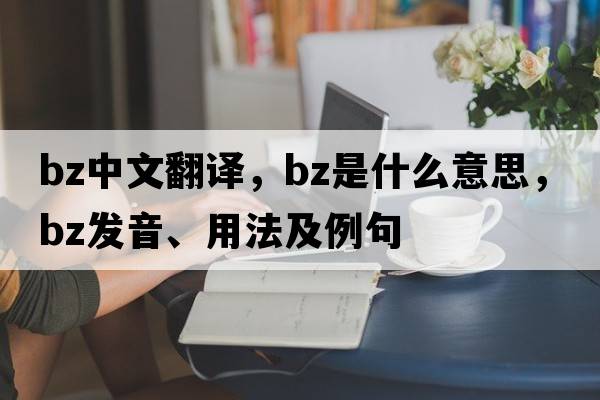 bz中文翻譯，bz是什么意思，bz發(fā)音、用法及例句