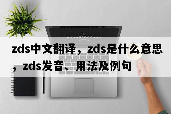ZDS中文翻譯，ZDS是什么意思，ZDS發(fā)音、用法及例句
