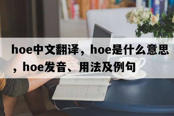 hoe中文翻譯，hoe是什么意思，hoe發(fā)音、用法及例句