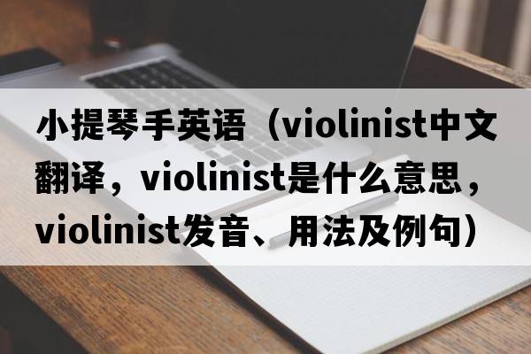 小提琴手英語(yǔ)（violinist中文翻譯，violinist是什么意思，violinist發(fā)音、用法及例句）
