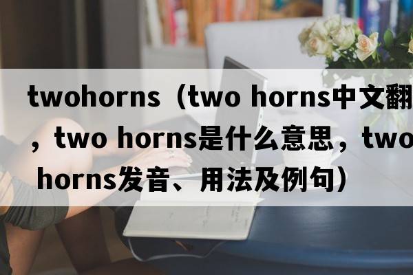 twohorns（two horns中文翻譯，two horns是什么意思，two horns發(fā)音、用法及例句）