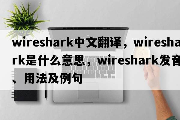 wireshark中文翻譯，wireshark是什么意思，wireshark發(fā)音、用法及例句