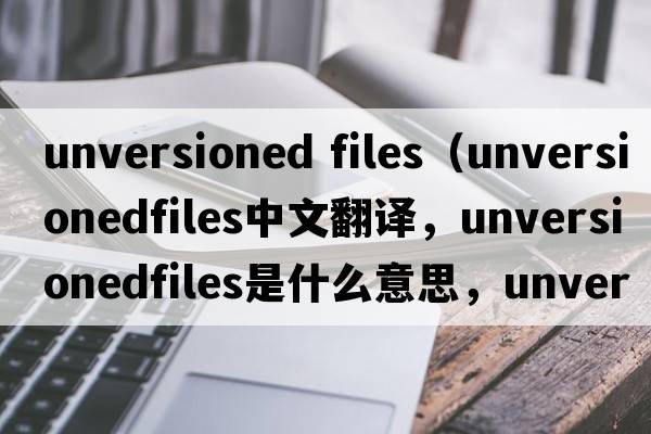 unversioned files（unversionedfiles中文翻譯，unversionedfiles是什么意思，unversionedfiles發(fā)音、用法及例句）