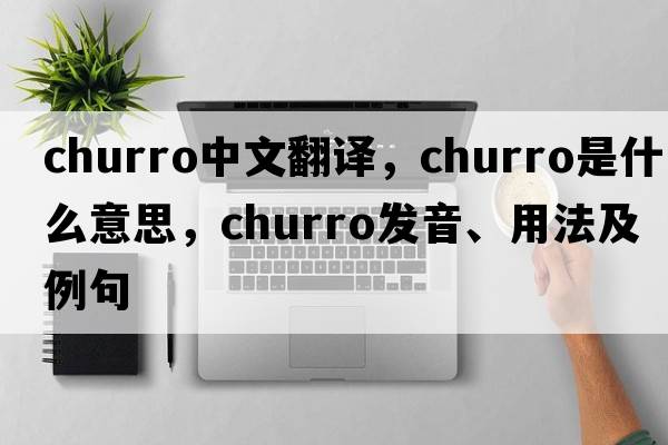 churro中文翻譯，churro是什么意思，churro發(fā)音、用法及例句