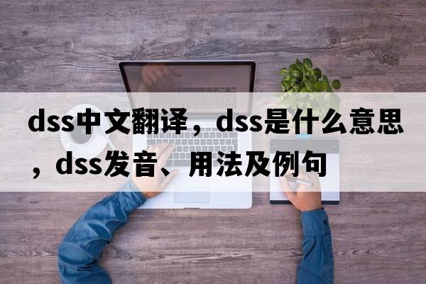 dss中文翻譯，dss是什么意思，dss發(fā)音、用法及例句