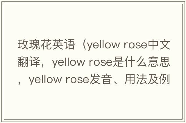 玫瑰花英語(yǔ)（yellow rose中文翻譯，yellow rose是什么意思，yellow rose發(fā)音、用法及例句）