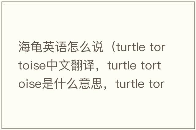 海龜英語(yǔ)怎么說(shuō)（turtle tortoise中文翻譯，turtle tortoise是什么意思，turtle tortoise發(fā)音、用法及例句）
