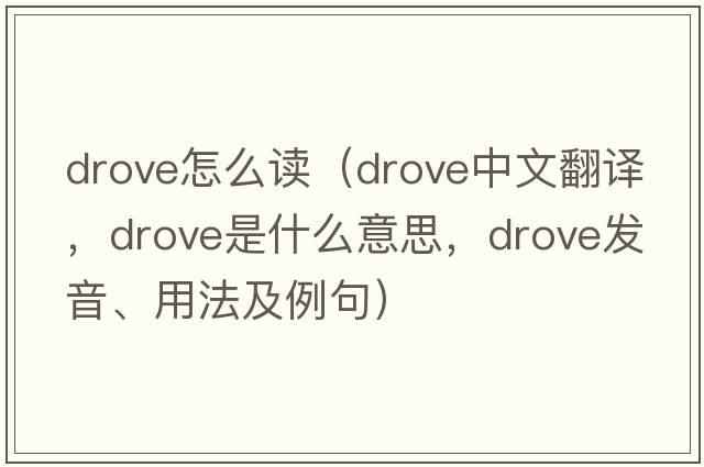drove怎么讀（drove中文翻譯，drove是什么意思，drove發(fā)音、用法及例句）