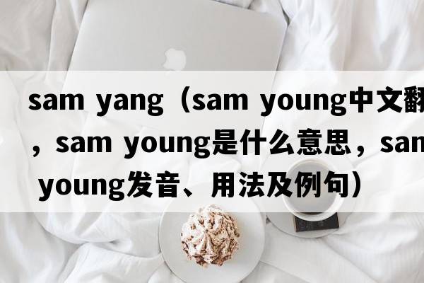 sam yang（sam young中文翻譯，sam young是什么意思，sam young發(fā)音、用法及例句）