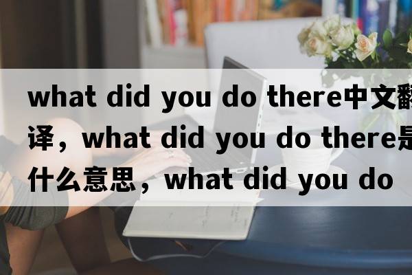 what did you do there中文翻譯，what did you do there是什么意思，what did you do there發(fā)音、用法及例句