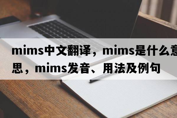 mims中文翻譯，mims是什么意思，mims發(fā)音、用法及例句