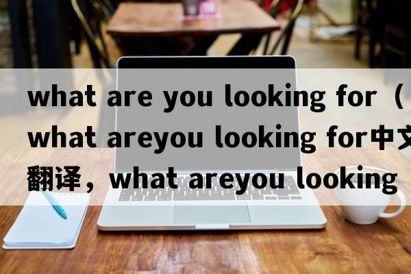 what are you looking for（what areyou looking for中文翻譯，what areyou looking for是什么意思，what areyou lookin