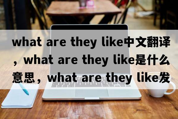 what are they like中文翻譯，what are they like是什么意思，what are they like發(fā)音、用法及例句