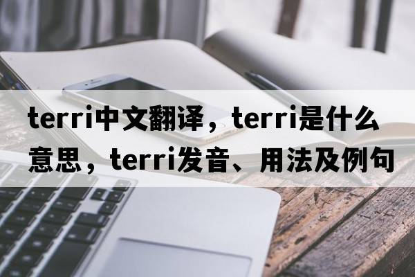 Terri中文翻譯，Terri是什么意思，Terri發(fā)音、用法及例句