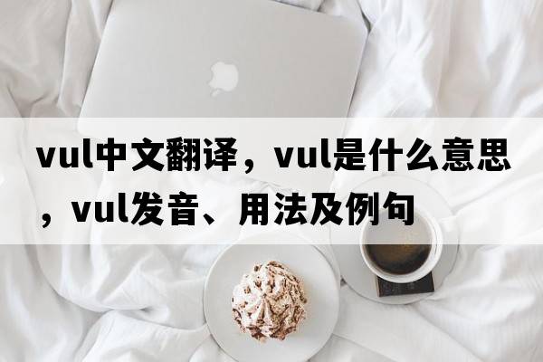 vul中文翻譯，vul是什么意思，vul發(fā)音、用法及例句