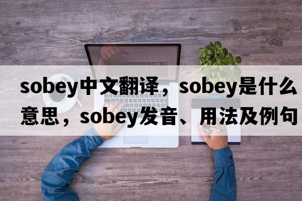 sobey中文翻譯，sobey是什么意思，sobey發(fā)音、用法及例句