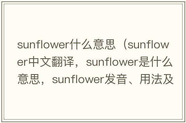 sunflower什么意思（sunflower中文翻譯，sunflower是什么意思，sunflower發(fā)音、用法及例句）