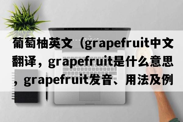 葡萄柚英文（grapefruit中文翻譯，grapefruit是什么意思，grapefruit發(fā)音、用法及例句）