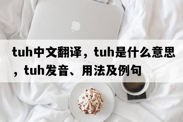 TUH中文翻譯，TUH是什么意思，TUH發(fā)音、用法及例句