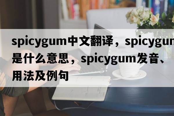 spicygum中文翻譯，spicygum是什么意思，spicygum發(fā)音、用法及例句