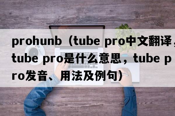 prohunb（tube pro中文翻譯，tube pro是什么意思，tube pro發(fā)音、用法及例句）