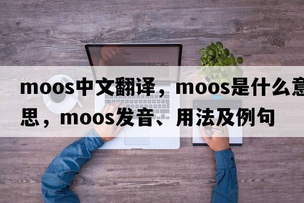 moos中文翻譯，moos是什么意思，moos發(fā)音、用法及例句