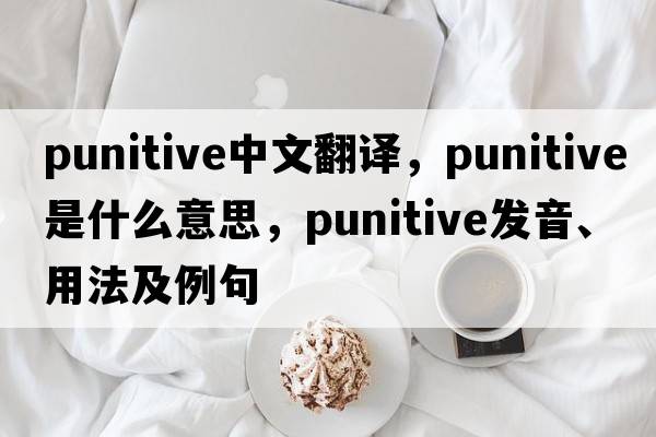 punitive中文翻譯，punitive是什么意思，punitive發(fā)音、用法及例句