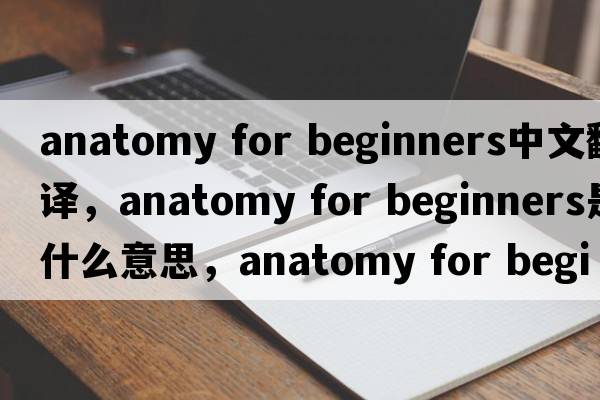 anatomy for beginners中文翻譯，anatomy for beginners是什么意思，anatomy for beginners發(fā)音、用法及例句