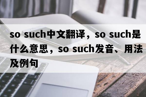 so such中文翻譯，so such是什么意思，so such發(fā)音、用法及例句