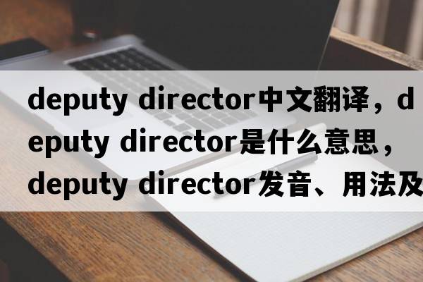 deputy director中文翻譯，deputy director是什么意思，deputy director發(fā)音、用法及例句