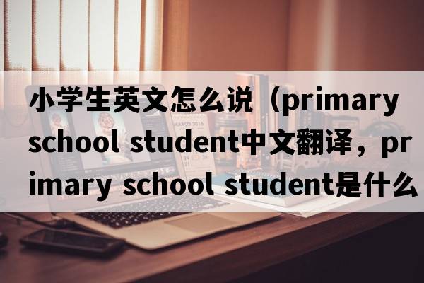 小學(xué)生英文怎么說(shuō)（primary school student中文翻譯，primary school student是什么意思，primary school student發(fā)音、用法及例句）