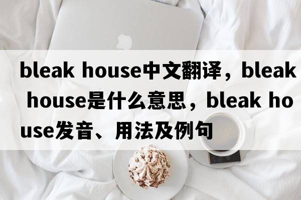 bleak house中文翻譯，bleak house是什么意思，bleak house發(fā)音、用法及例句
