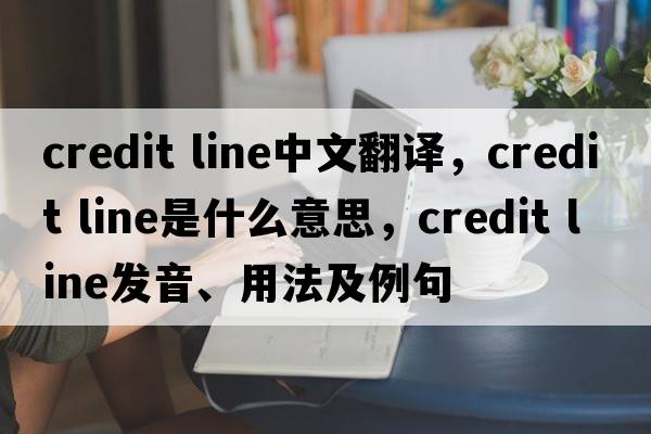 credit line中文翻譯，credit line是什么意思，credit line發(fā)音、用法及例句