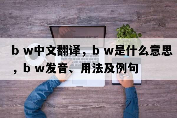 b w中文翻譯，b w是什么意思，b w發(fā)音、用法及例句