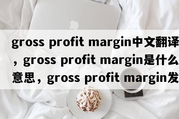 gross profit margin中文翻譯，gross profit margin是什么意思，gross profit margin發(fā)音、用法及例句
