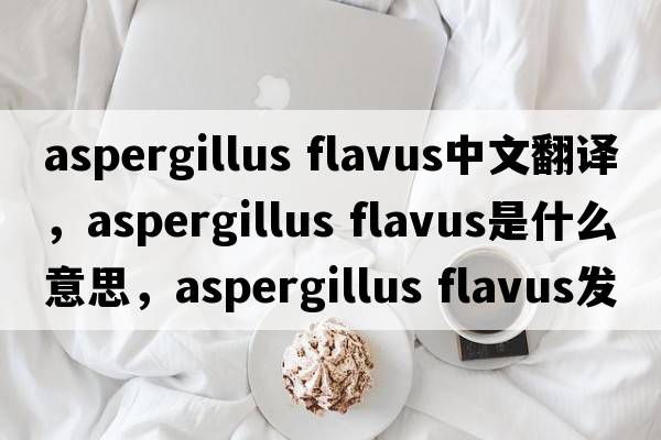 aspergillus flavus中文翻譯，aspergillus flavus是什么意思，aspergillus flavus發(fā)音、用法及例句