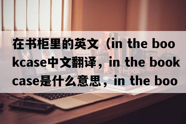 在書(shū)柜里的英文（in the bookcase中文翻譯，in the bookcase是什么意思，in the bookcase發(fā)音、用法及例句）