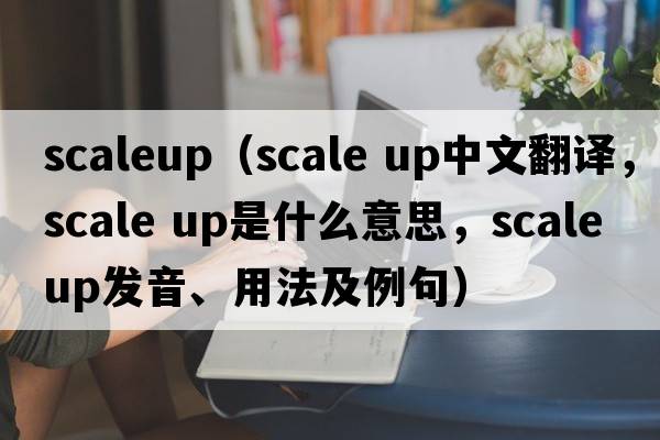 scaleup（scale up中文翻譯，scale up是什么意思，scale up發(fā)音、用法及例句）