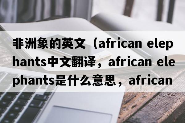 非洲象的英文（african elephants中文翻譯，african elephants是什么意思，african elephants發(fā)音、用法及例句）