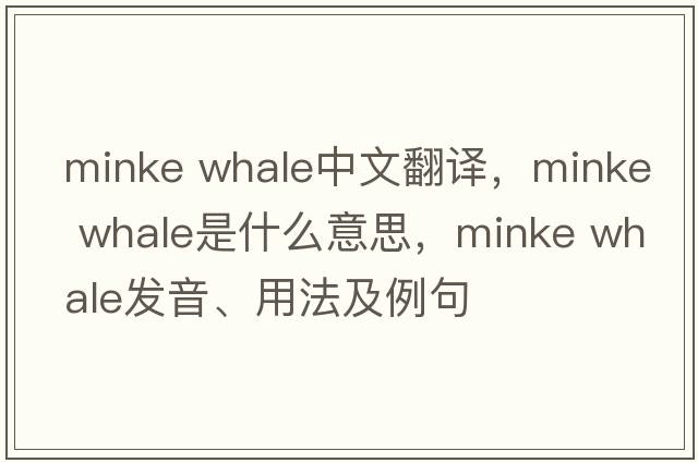 minke whale中文翻譯，minke whale是什么意思，minke whale發(fā)音、用法及例句