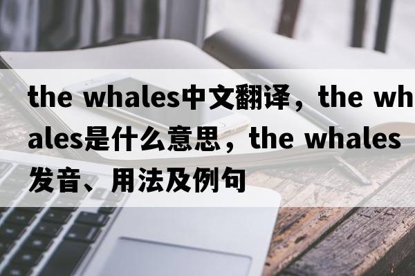 the whales中文翻譯，the whales是什么意思，the whales發(fā)音、用法及例句